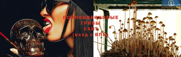 2c-b Магас