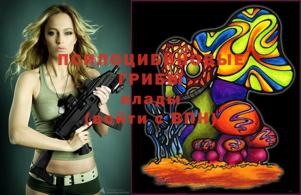 стафф Майский