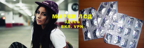 стафф Майский
