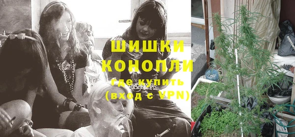 стафф Майский