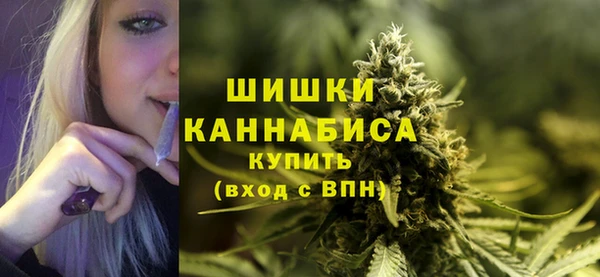 стафф Майский