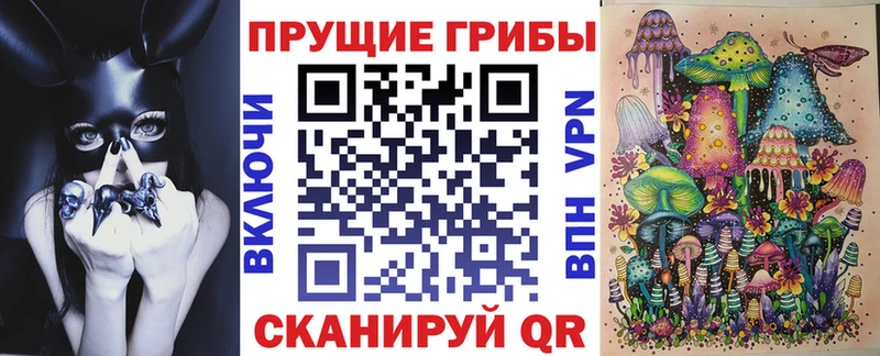Псилоцибиновые грибы Psilocybe  OMG ONION  Гаджиево 