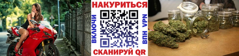 что такое наркотик  Гаджиево  Бошки Шишки SATIVA & INDICA 